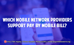 Which Mobile Network Providers Support Pay by Mobile Bill?