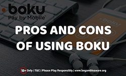 Pros and Cons of Using Boku