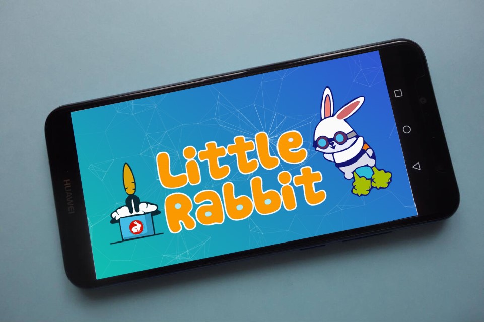 What is Little Rabbit